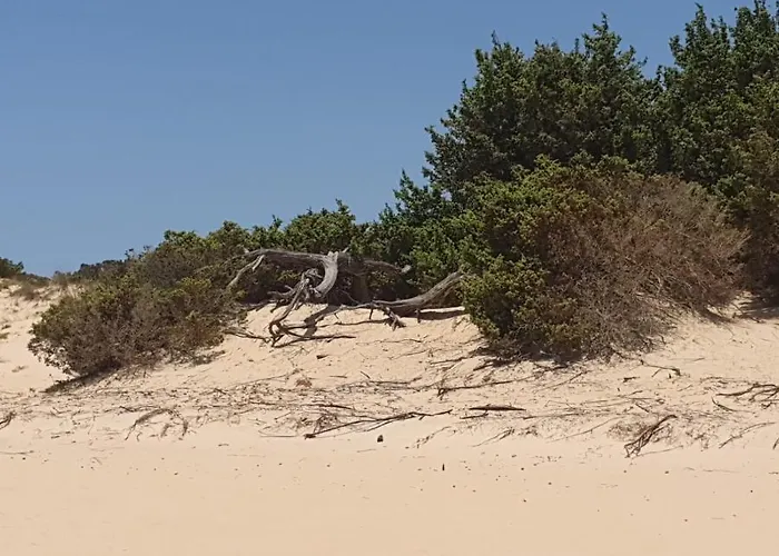 Casa Scirocco Iun Q2421 Pula