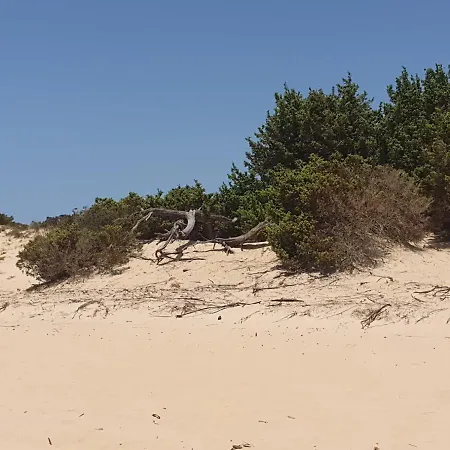 Casa Scirocco Iun Q2421 普拉